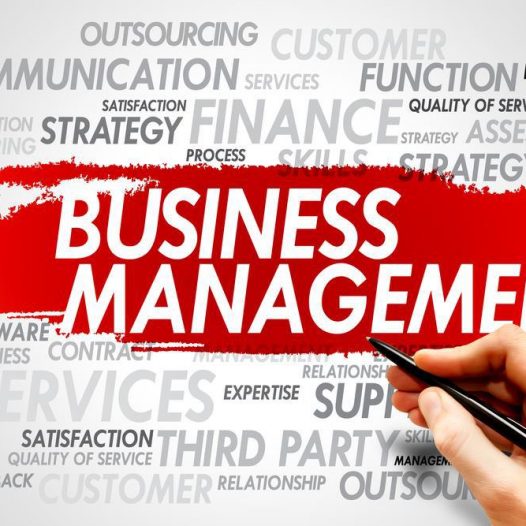 Management of Business